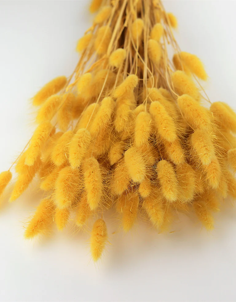 Autumn Dried Flowers Collections