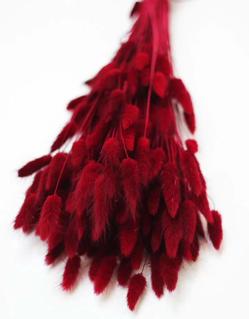 New Arrivals Dried & Preserved Flower Collections